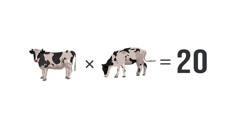 Správný počet krav je 20.
