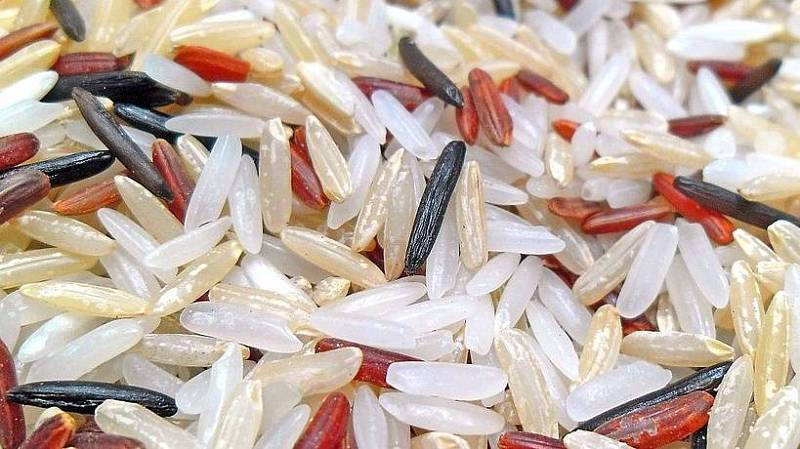 Rýžová směs může být doslova životabudičem