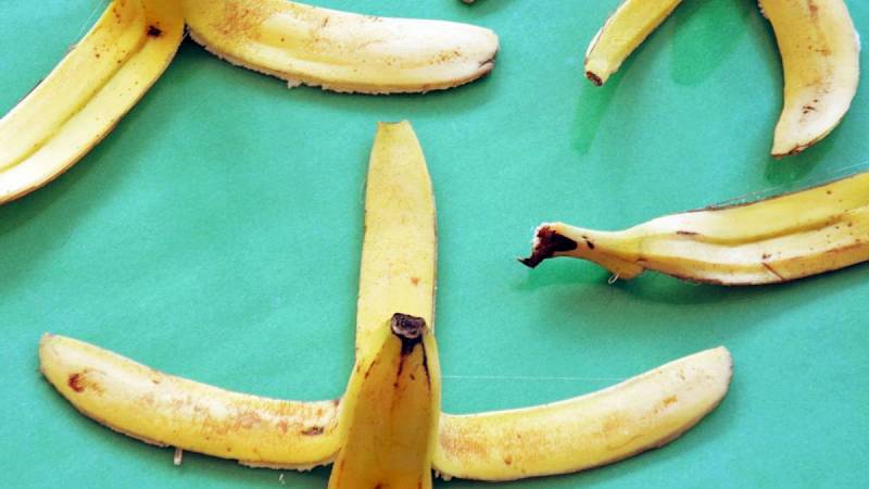 Skvělým hnojivem jsou slupky od banánů
