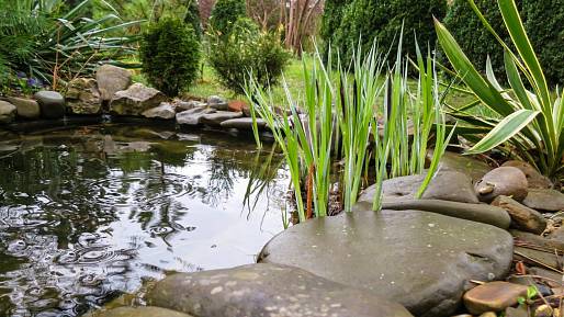 Svépomocí vybudované zahradní jezírko udělá majiteli dvojnásobnou radost