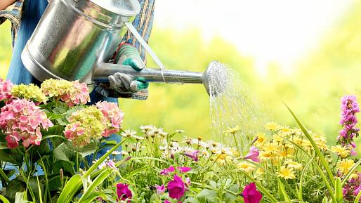 Zahradní sezóna: Úkoly co stihnout do konce července na vaší zahrádce