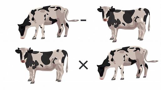 Vyřešte matematický IQ test: Najděte správný počet krav