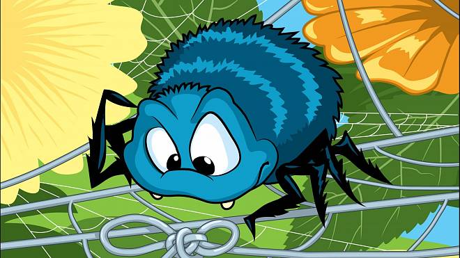 Odhalte skryté rozdíly mezi pavouky – vhodné i pro arachnofobiky
